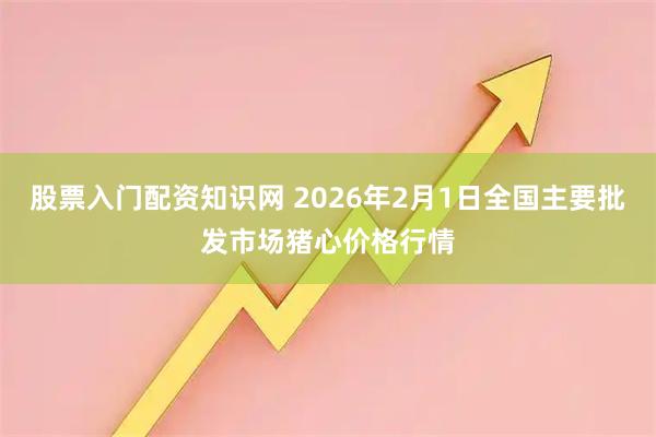 股票入门配资知识网 2026年2月1日全国主要批发市场猪心价格行情